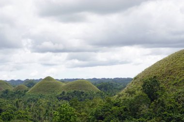 Filipinlerdeki bohol 'un çikolata tepeleri sonbaharda koyu kahverengiye döner. 