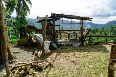 Filipinlerdeki Bohol Adası 'ndaki manzaralı pirinç tarlaları