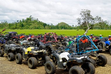 Bohol Adası 'ndaki çikolata tepelerinde çok sayıda avlu var.