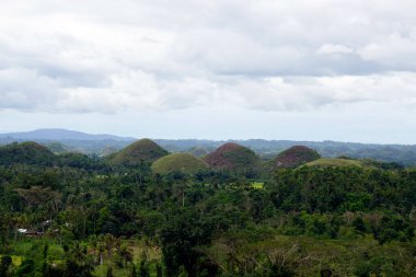 Filipinlerdeki bohol 'un çikolata tepeleri sonbaharda koyu kahverengiye döner. 