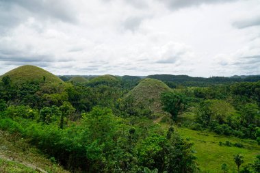 Filipinlerdeki bohol 'un çikolata tepeleri sonbaharda koyu kahverengiye döner. 