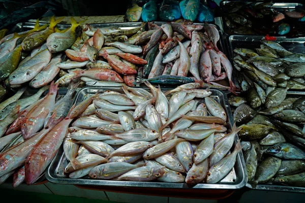 Cebu Városi Halpiac Friss Ízletes Halakat Árusító Forgalmazók — Stock Fotó