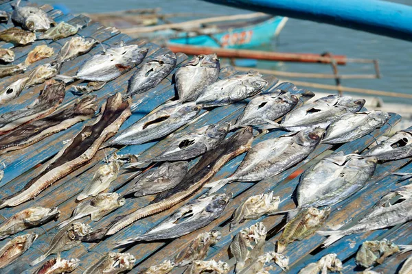 Frischer Fisch Aus Einem Fischerdorf Auf Den Philippinischen Inseln — Stockfoto