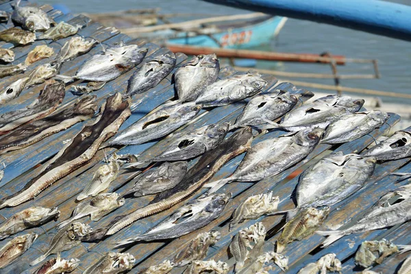 フィリピンの漁村の新鮮な魚が — ストック写真