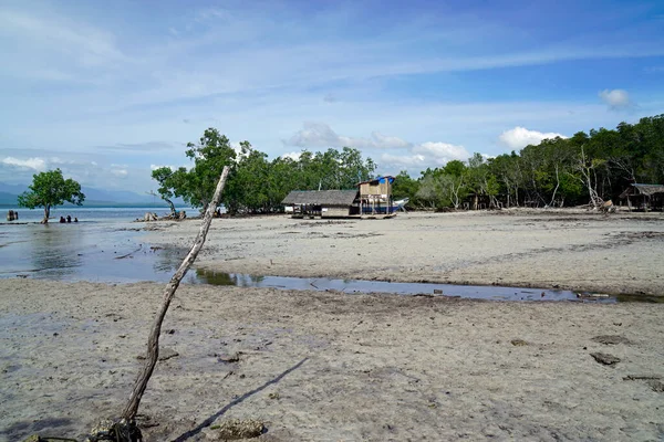 Palawan 'da, Filipinler' de, Puerto Princesa 'da el değmemiş bir plaj.