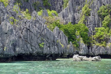 Filipinler 'deki Palawan Adası' nda tahtadan yapılmış tekneler.