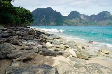 Palawan Adası 'ndaki tropik plajda manzaralı bir manzara.
