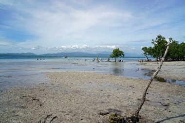 Palawan 'da, Filipinler' de, Puerto Princesa 'da el değmemiş bir plaj.