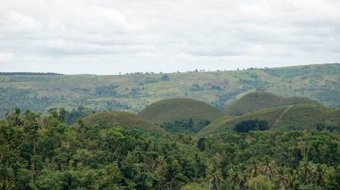 Filipinlerdeki bohol 'un çikolata tepeleri sonbaharda koyu kahverengiye döner. 