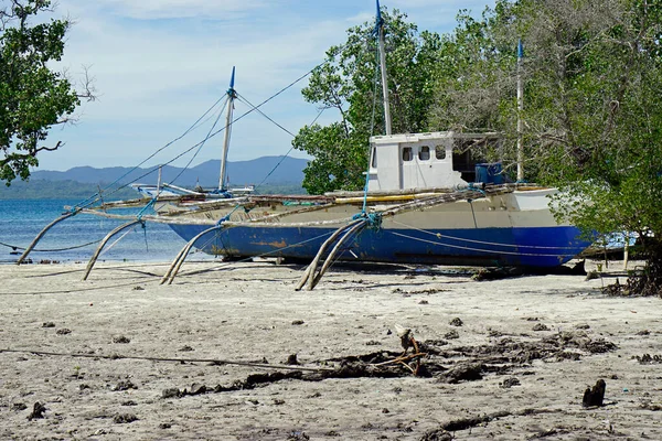 Pristine Beach Puerto Princesa Palawan Philippines — Stock Photo, Image