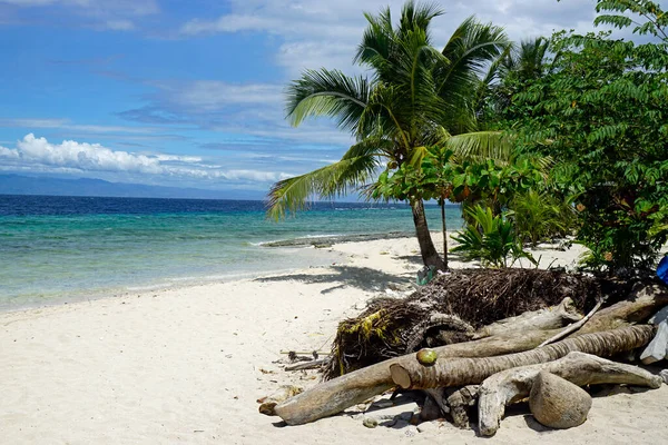 Belle Côte Tropicale Sur Île Cebu Sur Les Philippines — Photo