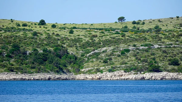 Πράσινο Τοπίο Στα Νησιά Κορνάτι Στην Κροατία — Φωτογραφία Αρχείου