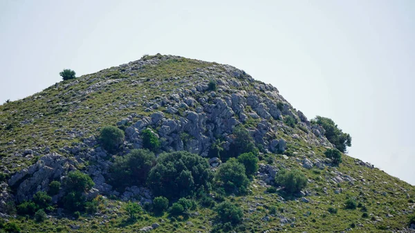 Paisagem Verde Nas Ilhas Kornati Croácia — Fotografia de Stock