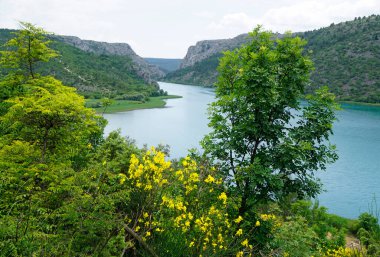 manzaralı yeşil manzara Krka 'da Hırvatça