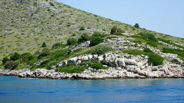Πράσινο Τοπίο Στα Νησιά Κορνάτι Στην Κροατία — Φωτογραφία Αρχείου
