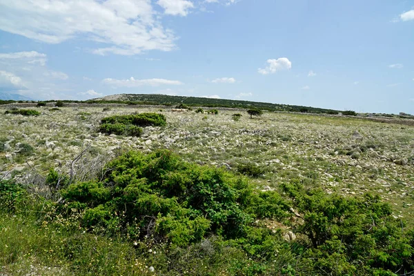 Karge Felslandschaft Auf Der Insel Pag Kroatien — Stockfoto