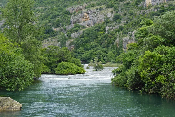Malowniczy Zielony Krajobraz Krka Chorwacji — Zdjęcie stockowe