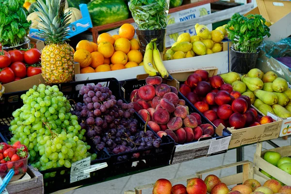 Zadar Croacia Circa Junio 2023 Colorido Puesto Mercado Con Frutas — Foto de Stock