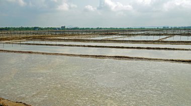 Kamboçya 'da Kamboçya yakınlarında büyük tuz tarlaları