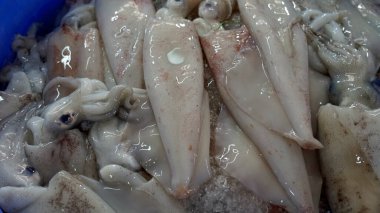 Fnom Penh 'deki balık pazarında taze deniz ürünleri.