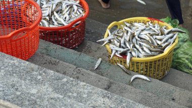 phu quoc adasındaki yerel balık pazarı