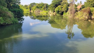 Kamboçya 'daki Sangker nehrinin manzaralı yeşil manzarası