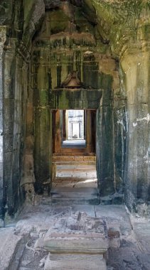 Kamboçya 'daki Angkor tapınağı.