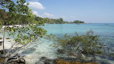 Tayland 'daki Koh Samet Adası' ndaki Sai Kaew plajı