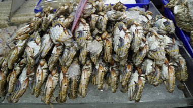 Tayland 'da Pattaya' da bir markette taze deniz ürünleri.