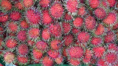 Kamboçya 'daki Pnom Penh' deki sokak pazarından taze meyve.