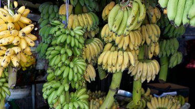 Kamboçya 'daki Pnom Penh' deki sokak pazarından taze meyve.