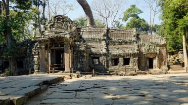 Kamboçya 'daki Angkor tapınağı.