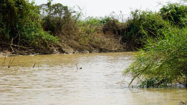 Kamboçya 'daki Tonle Sup nehrinin manzaralı manzarası