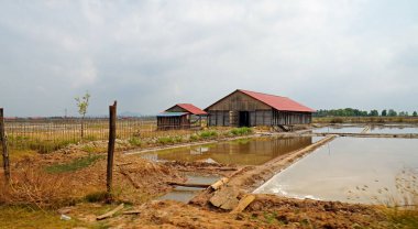 Kamboçya 'da Kamboçya yakınlarında büyük tuz tarlaları