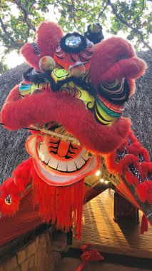 Pu Quoc Adası 'ndaki Tet Festivali' nde dev bir kızıl ejder kafası.