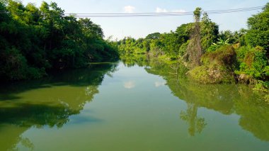 Kamboçya 'daki Sangker nehrinin manzaralı yeşil manzarası