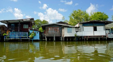 Bangkok 'taki Chao praya nehrindeki ahşap evler.