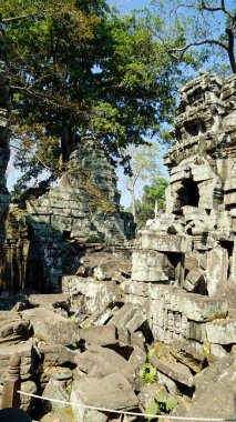 Kamboçya 'daki Angkor tapınağı.