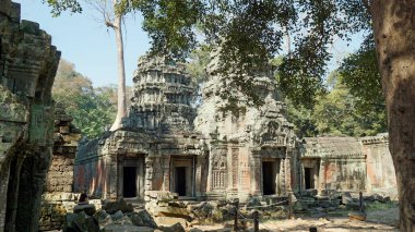 Kamboçya 'daki Angkor tapınağı.
