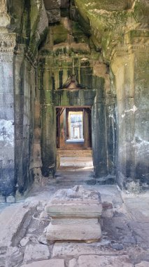 Kamboçya 'daki Angkor tapınağı.