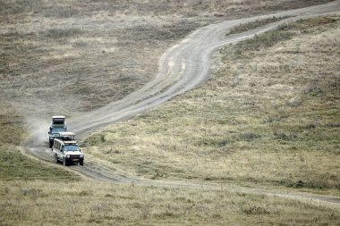 Tanzanya 'daki Serengeti parkında safari kamyonu.