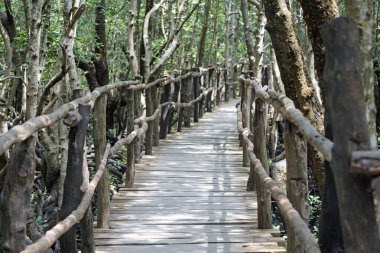 Zanzibar 'daki Jozani Mangrove Ormanı' ndan geçen ahşap yol.