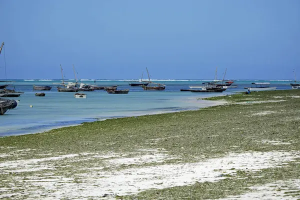 Balıkçı Zanzibar adasında batıyor.