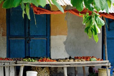Zanzibar adasındaki yerel bir köyde basit bir meyve tezgahı.