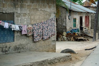 Zanzibar 'daki Paje' de fakir bir köy.