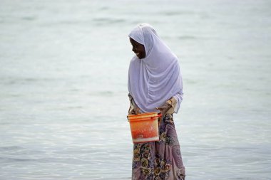 Nungwi, Zanzibar - Ekim 2024: Sular çekildiğinde okyanustan deniz ürünleri toplayan kadın
