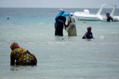 Nungwi, Zanzibar - Ekim 2024: Sular çekildiğinde okyanustan deniz ürünleri toplayan kadın