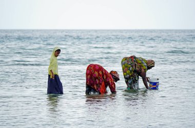 Nungwi, Zanzibar - Ekim 2024: Sular çekildiğinde okyanustan deniz ürünleri toplayan kadın