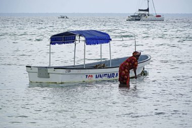 Nungwi, Zanzibar - Ekim 2024: Sular çekildiğinde okyanustan deniz ürünleri toplayan kadın