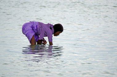 Nungwi, Zanzibar - Ekim 2024: Sular çekildiğinde okyanustan deniz ürünleri toplayan kadın